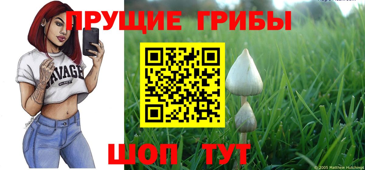 где можно купить наркотик  Галлюциногенные грибы Psilocybine cubensis  Псилоцибиновые грибы Psilocybe  Вход с VPN  Севастополь 